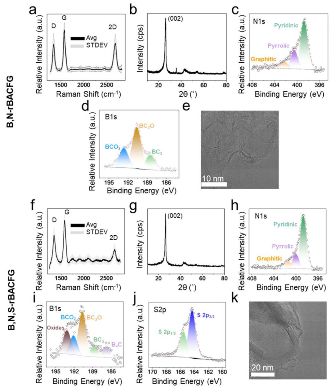 Figure 4: Characterization of heteroatom multisubstituted rBACFG