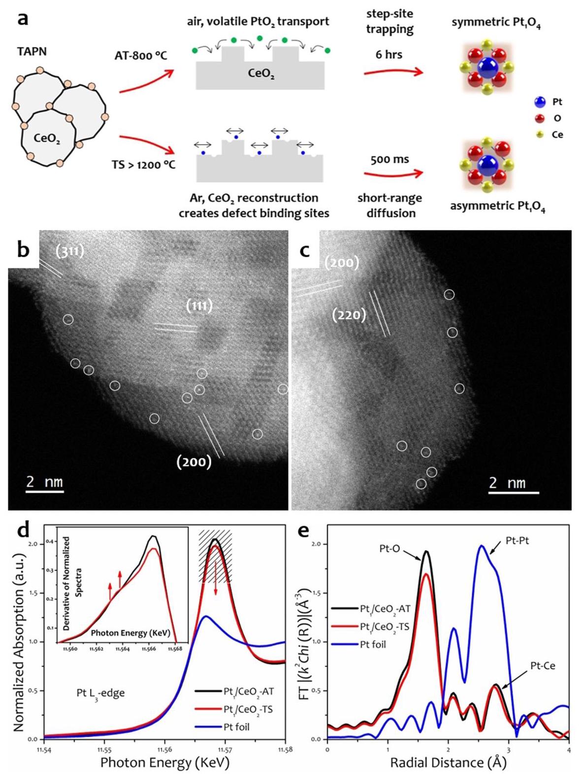 Figure 1b,c: AC-STEM images