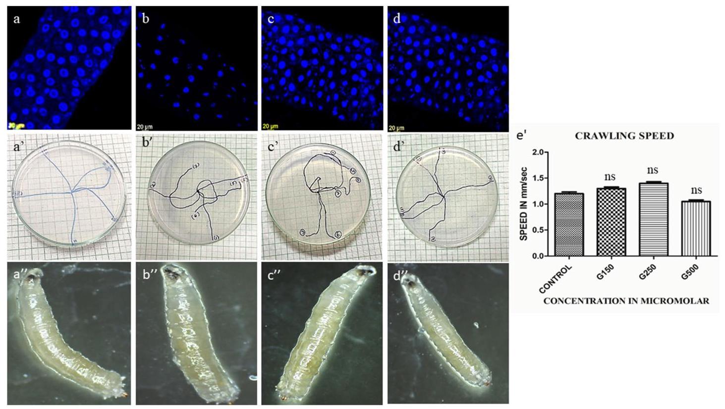 Fig. 4: Toxicity assessment results