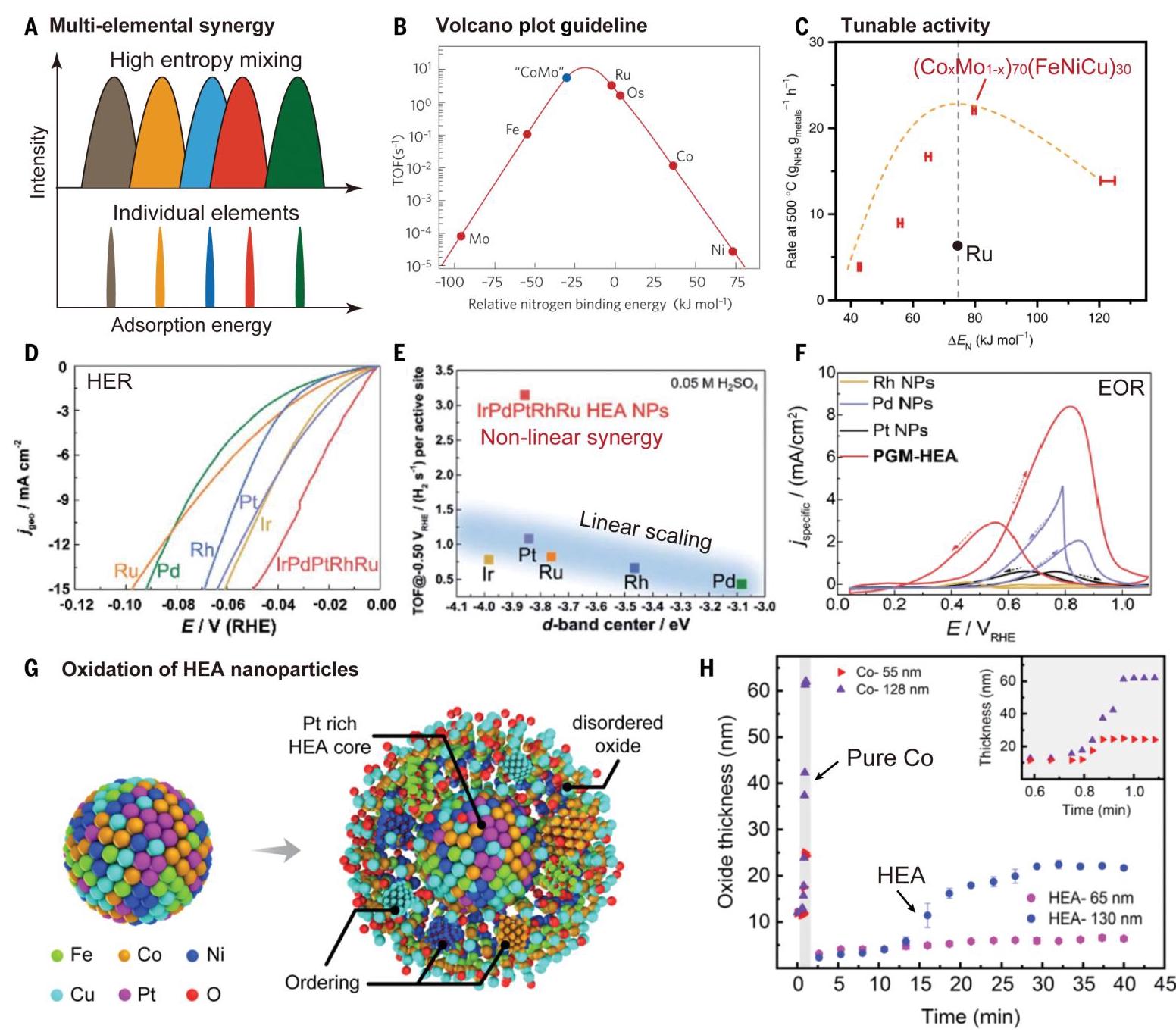 Fig. 4: Catalytic applications