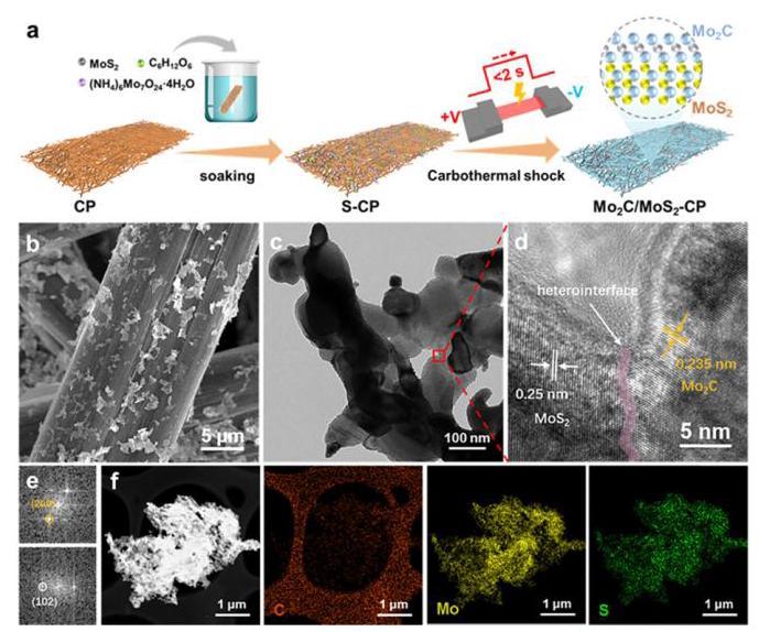 Fig. 1: Synthesis and structural characterization of Mo2C/MoS2-CP