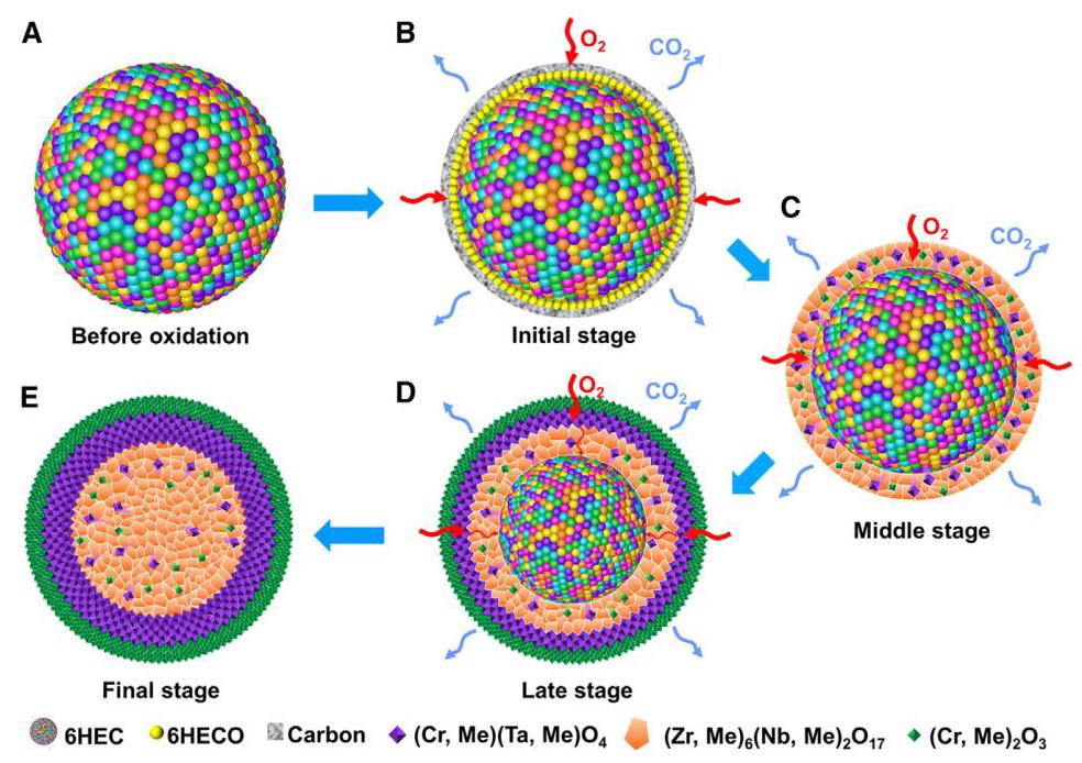 Figure 6: Schematic of potential oxidation resistance mechanism