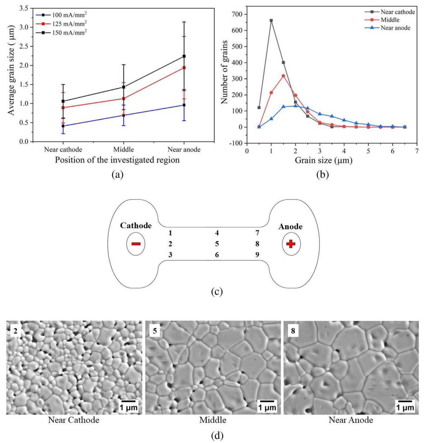 Fig. 4 Grain size analysis and microstructure