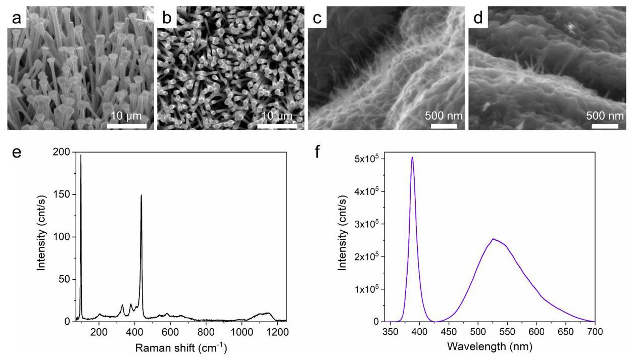 Figure 2: Microstructure and elemental composition of NW-VS