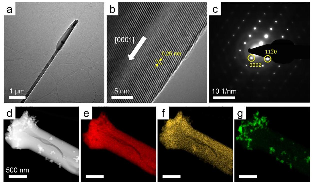 Figure 5: Microstructure and elemental composition of NW-J-D