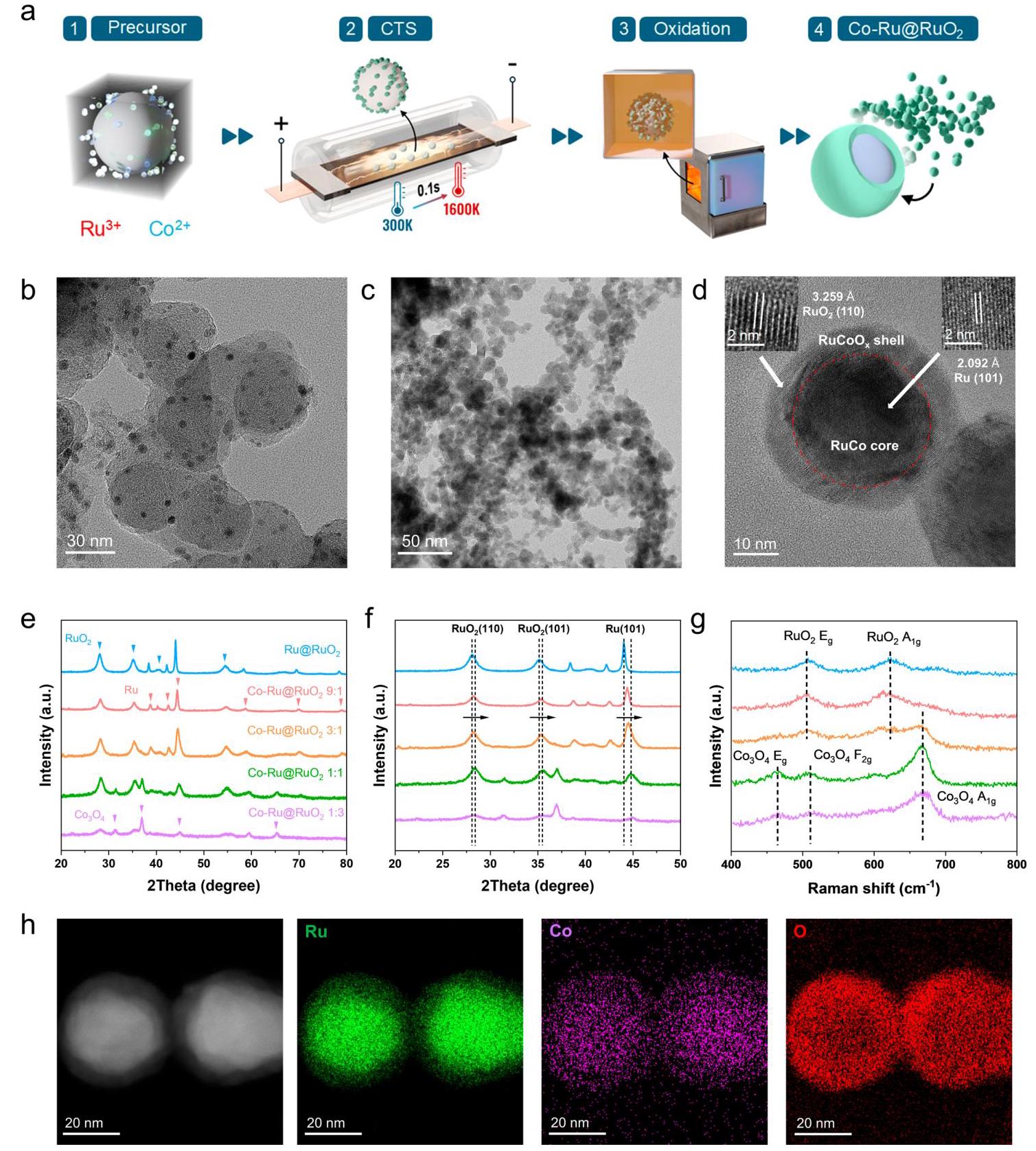 Figure 1c: TEM of Co-Ru@RuO2 9:1