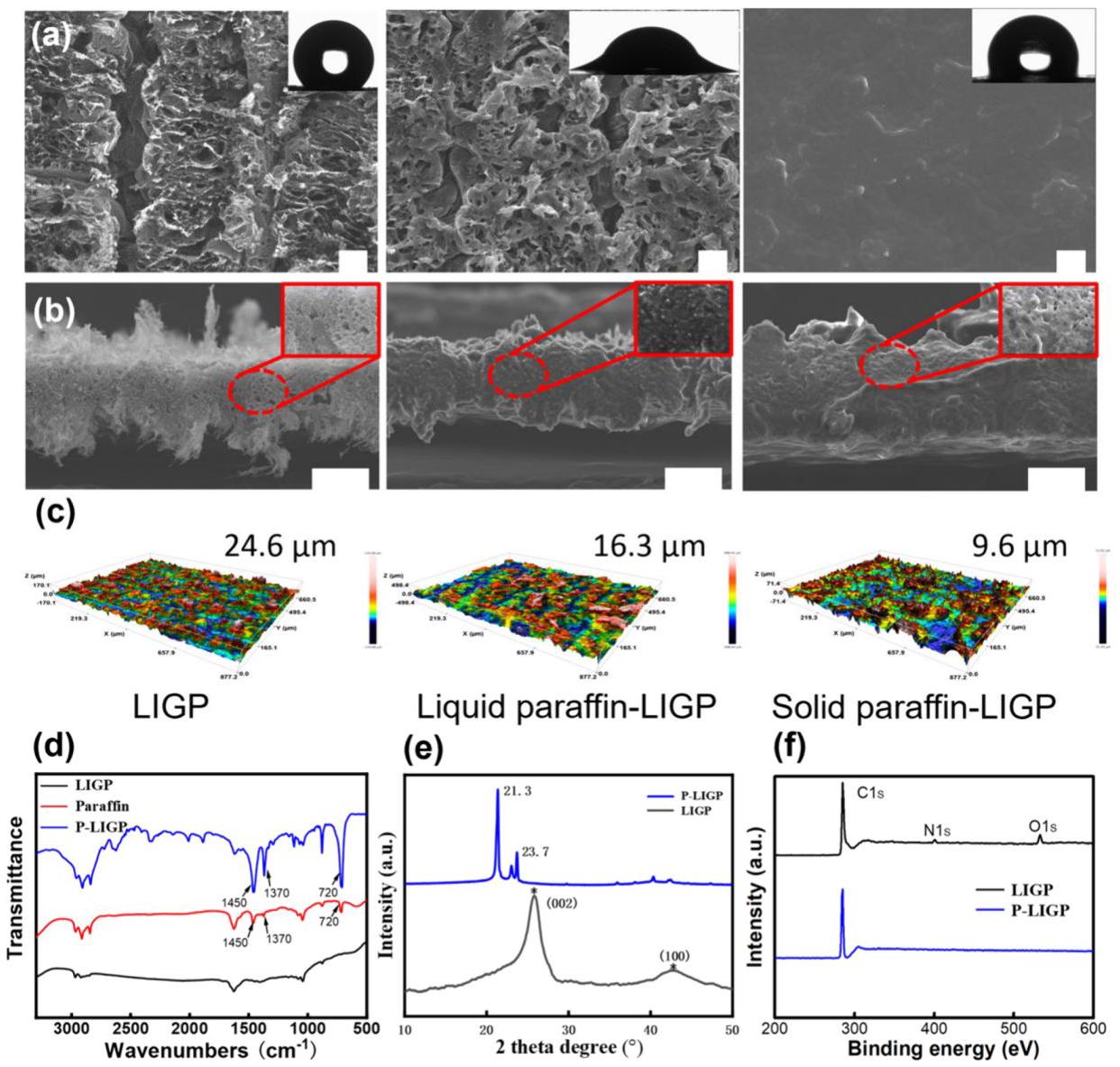 Figure 2. Structural characterizations of LIGPs