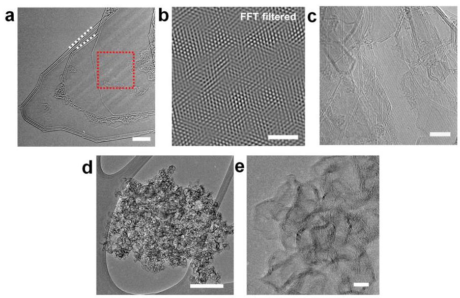 Figure 2: TEM images of tFG and wrinkled graphene