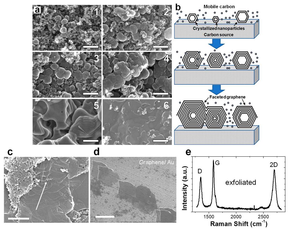 Figure 6: Growth patterns and exfoliation
