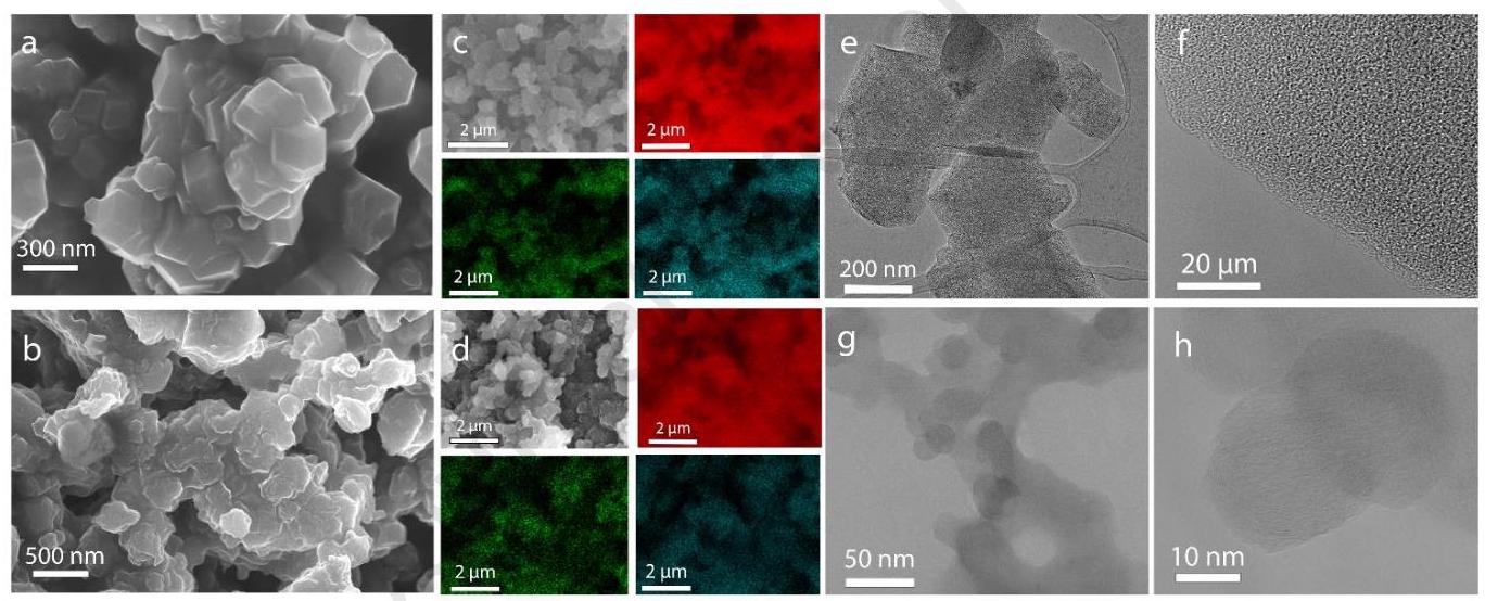 Fig. 2 Electron microscope images