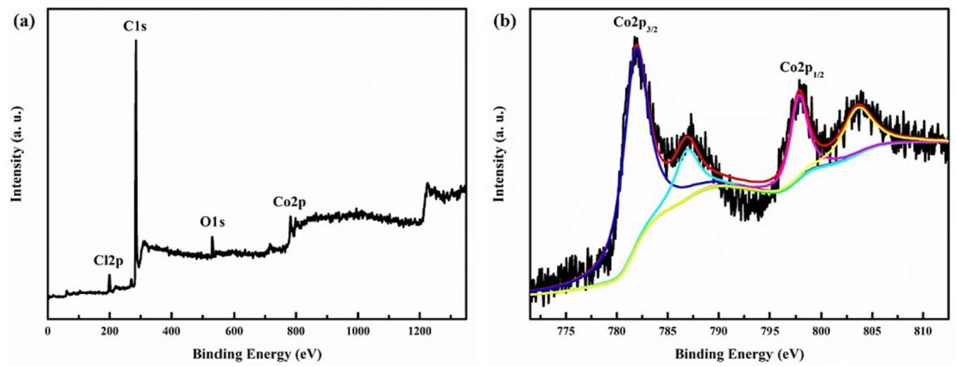 图5: XPS survey spectrum and high-resolution Co2p spectra