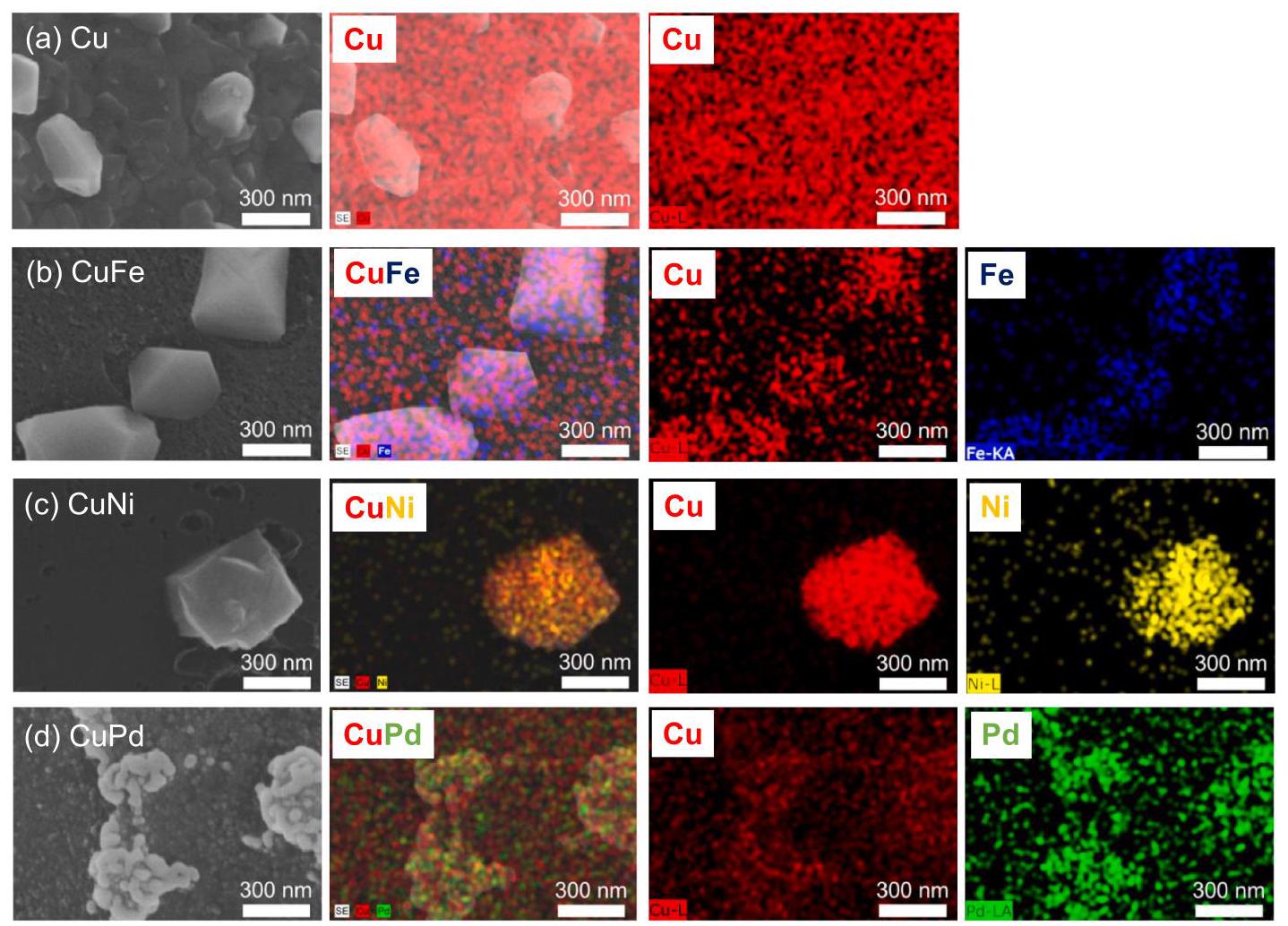 Fig. 2. SEM images and EDS mapping of bimetallic catalysts