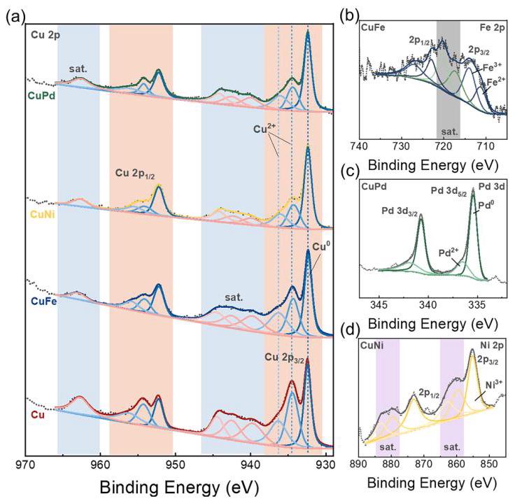 Fig. 4. XPS spectra of different samples