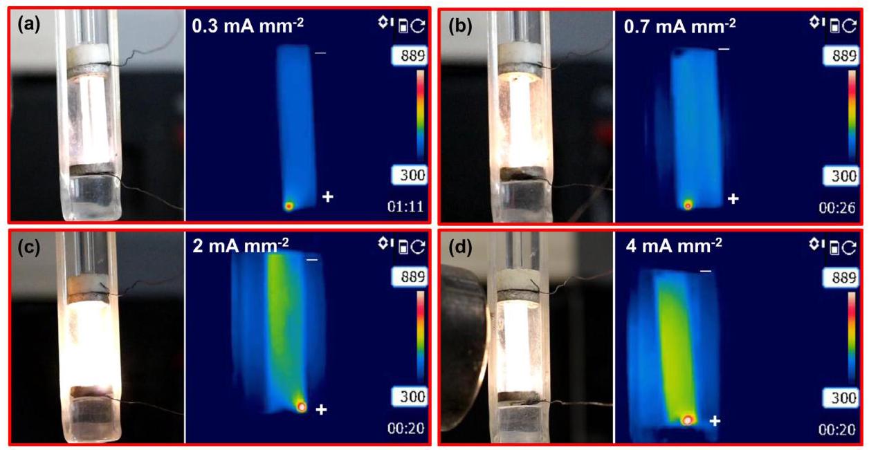 Fig. 2: Thermal and digital images with Pt electrodes
