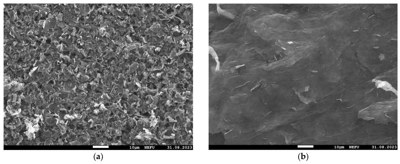 Figure 3: SEM images at 1000× magnification: (a) MOG; (b) aMOG-200